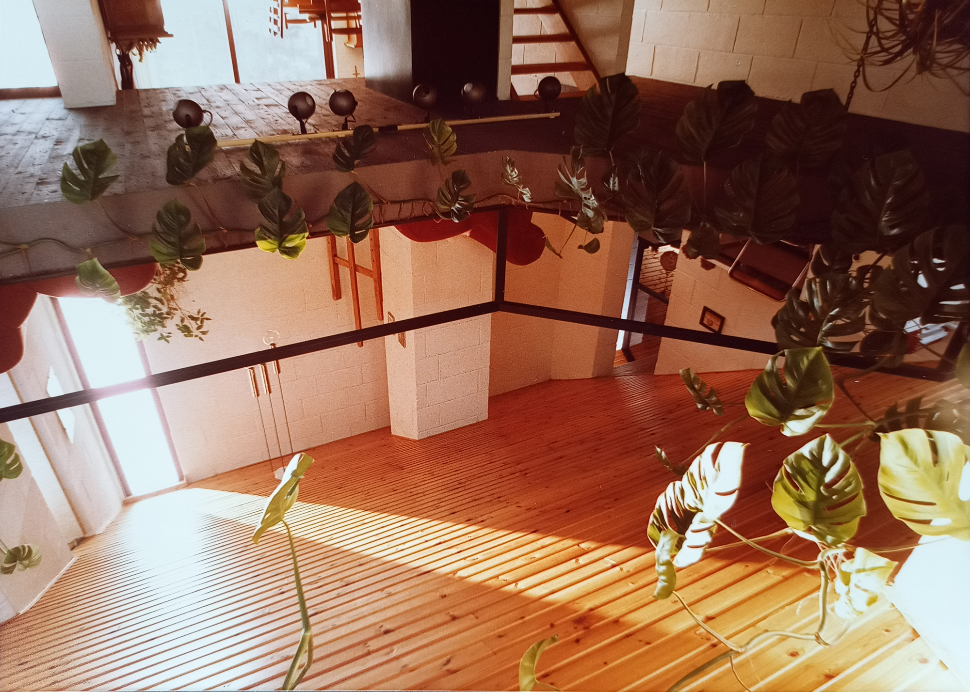 Vue plongeante sur mezzanine intérieure avec plantes tropicales