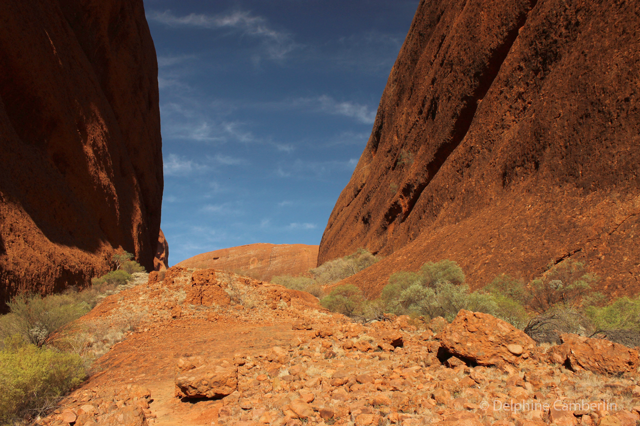 Indigenous landscape