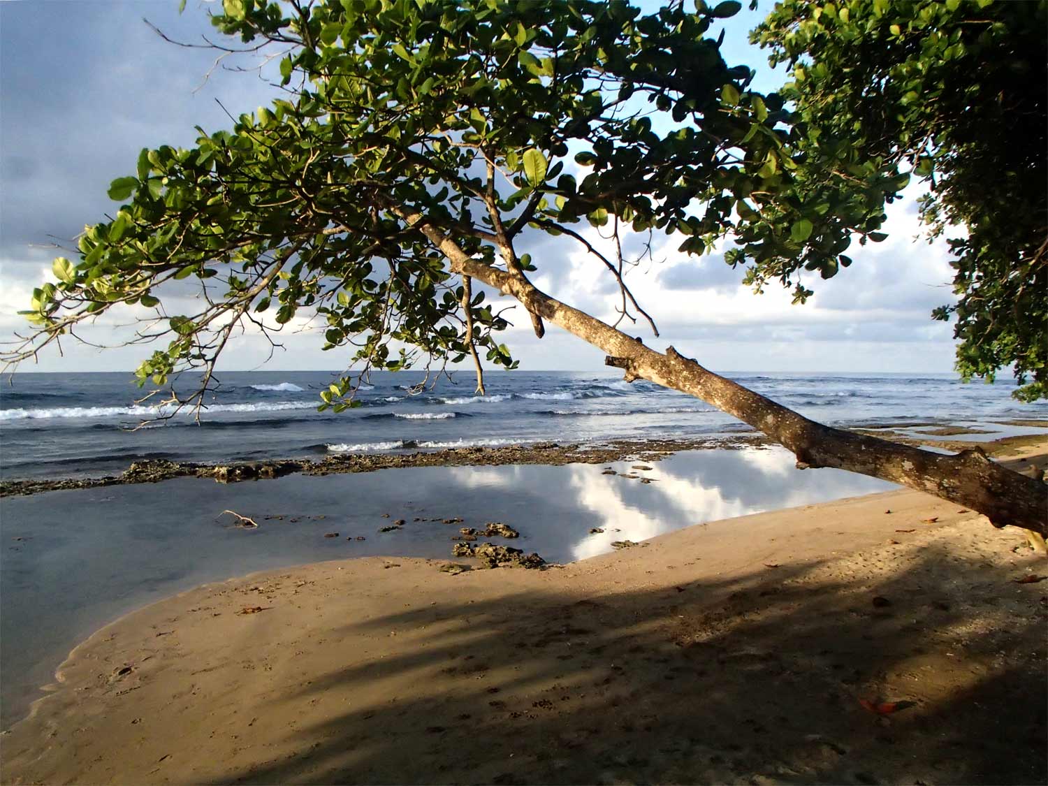 Beach North Coaso