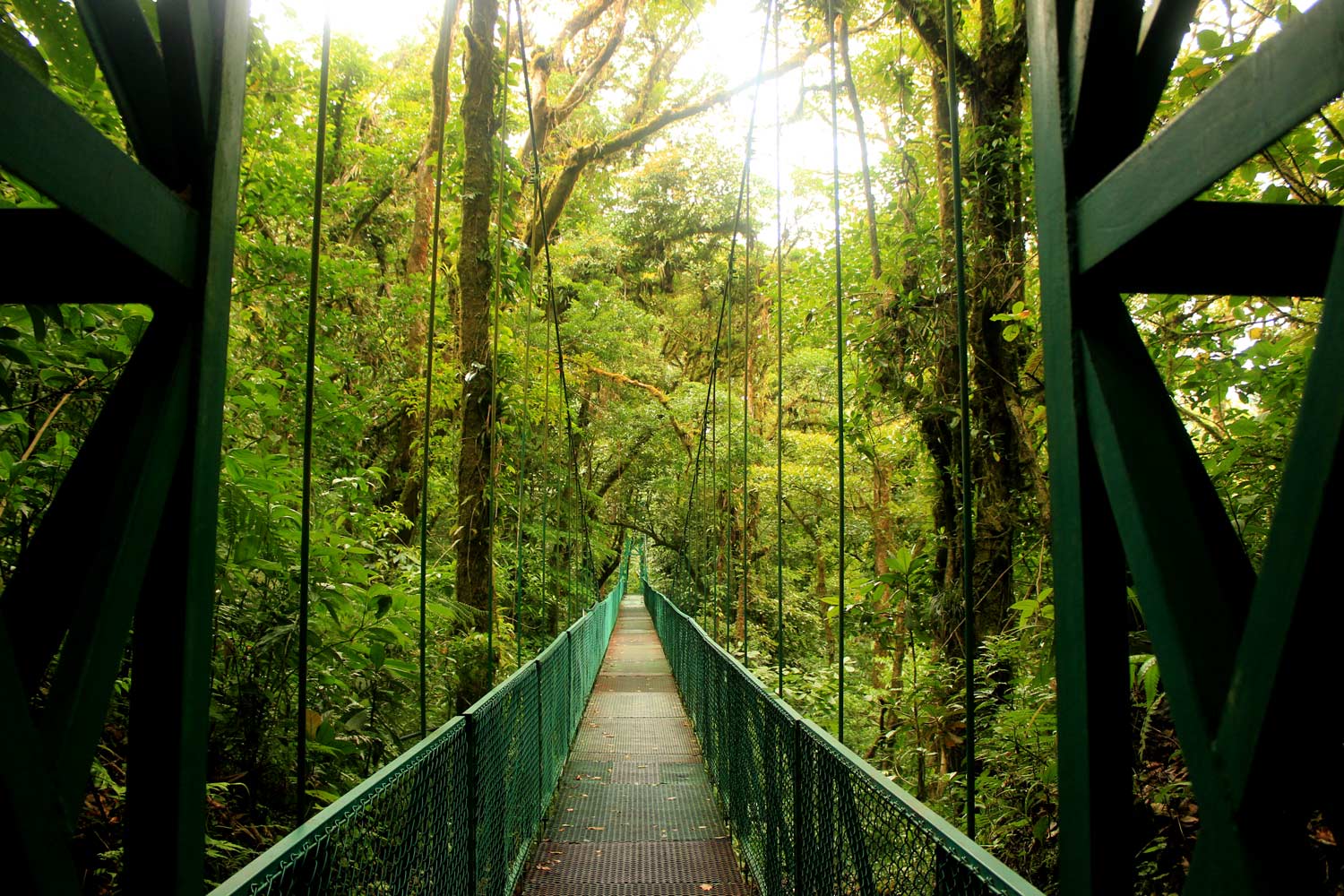 Eco travel guide