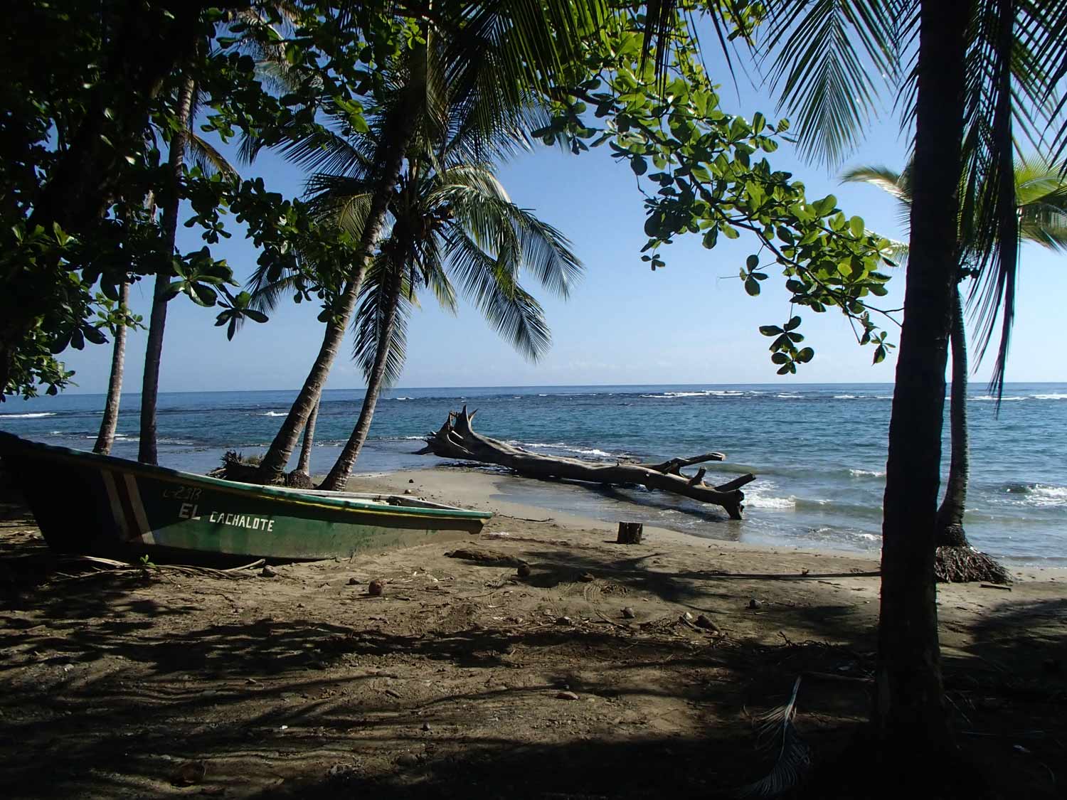 Forest Beach Cahuita