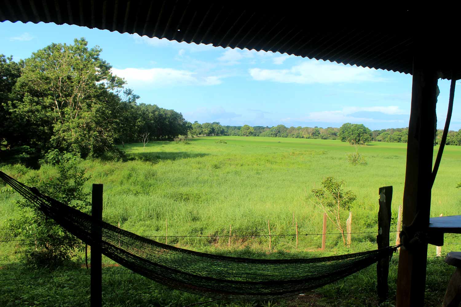 Hamak Halte On The Way To Corcovado National Park