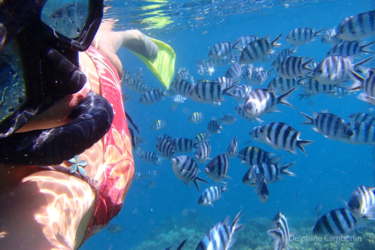 Snorkel