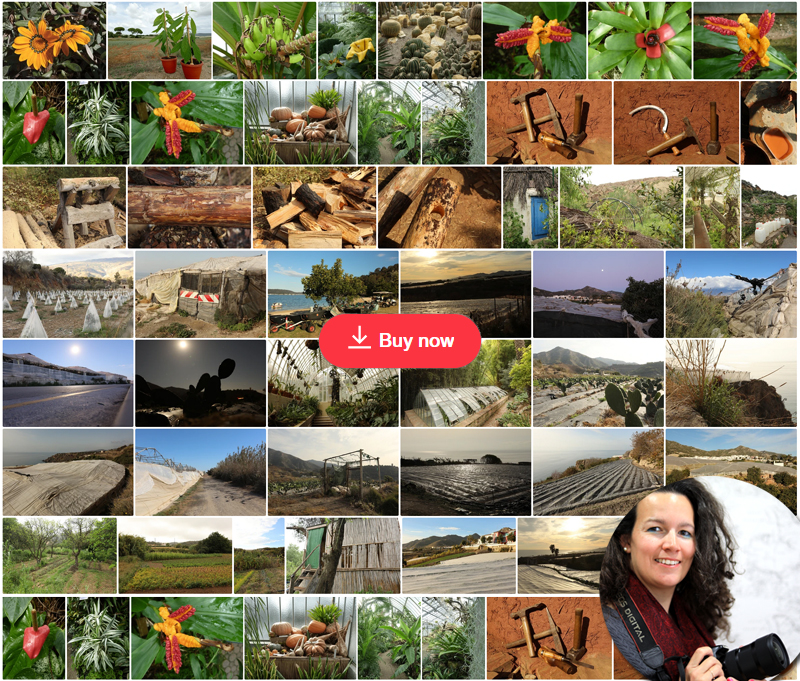 Permaculture Style Collections Delphine Camberlin ShutterStock