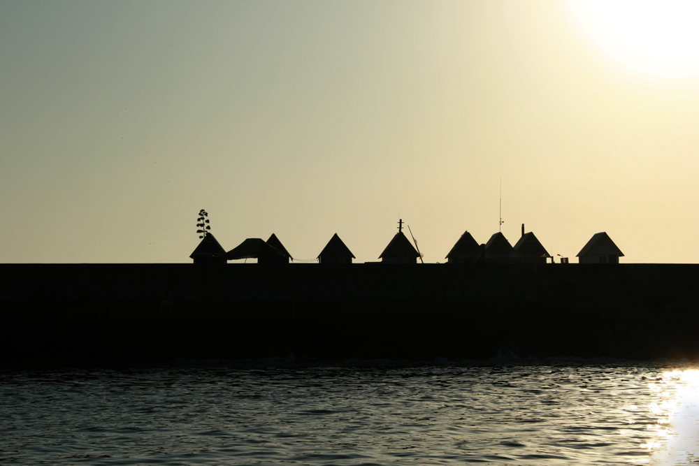 Eco travel by style