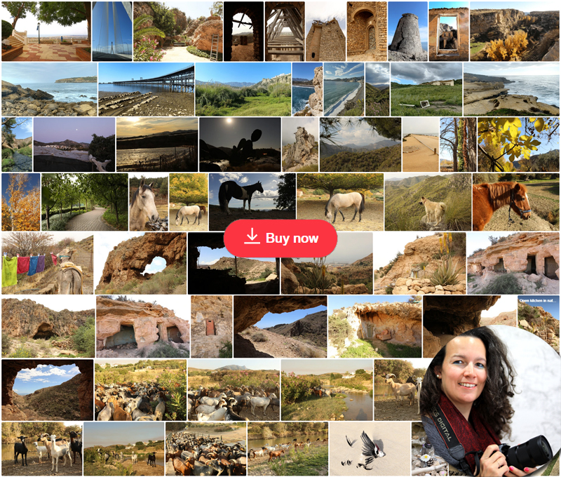 Spain Collections Delphine Camberlin ShutterStock
