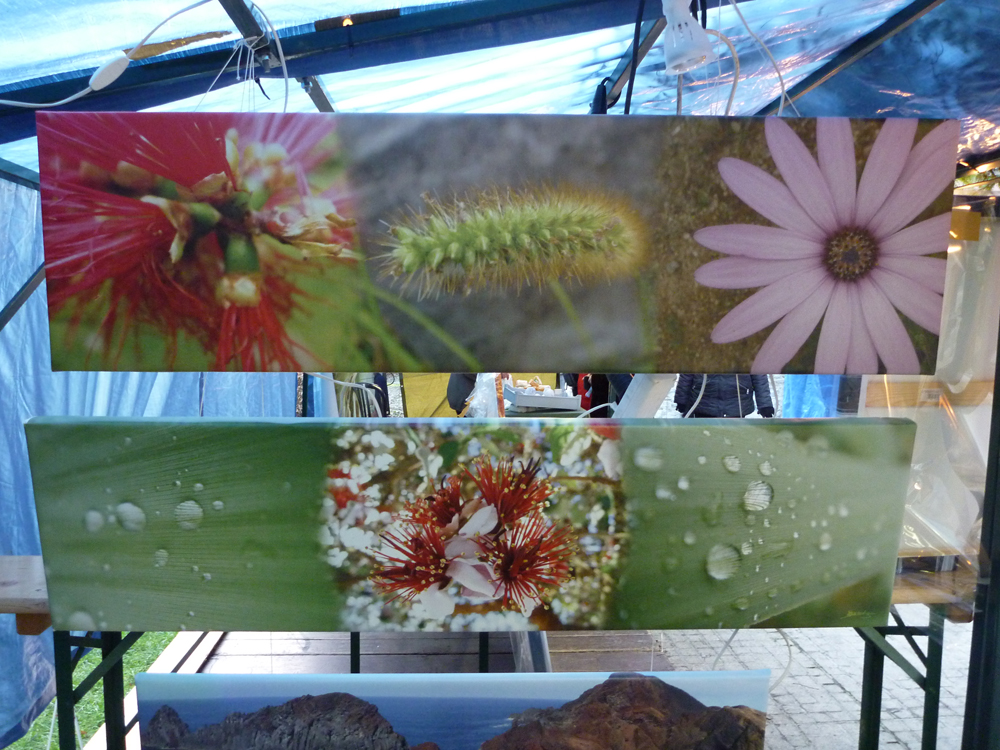 Galerie Photographique - Exhibition 2010