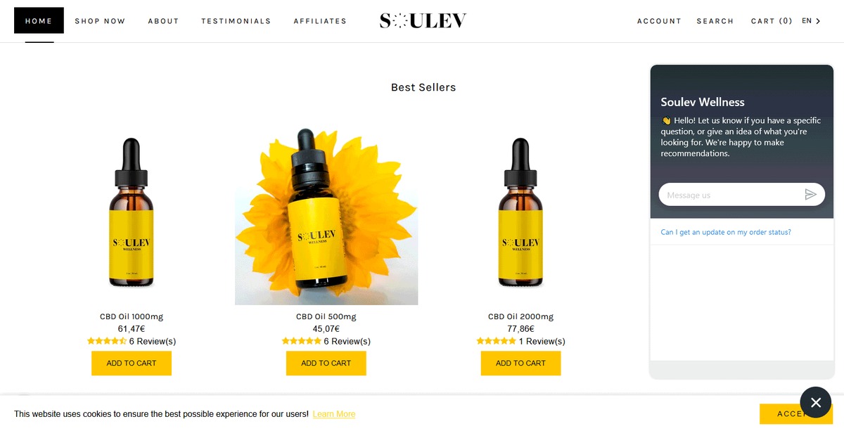 Soulev Wellness - page 2